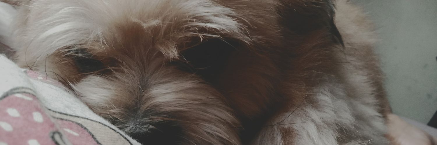 queencyyy__'s profile banner image