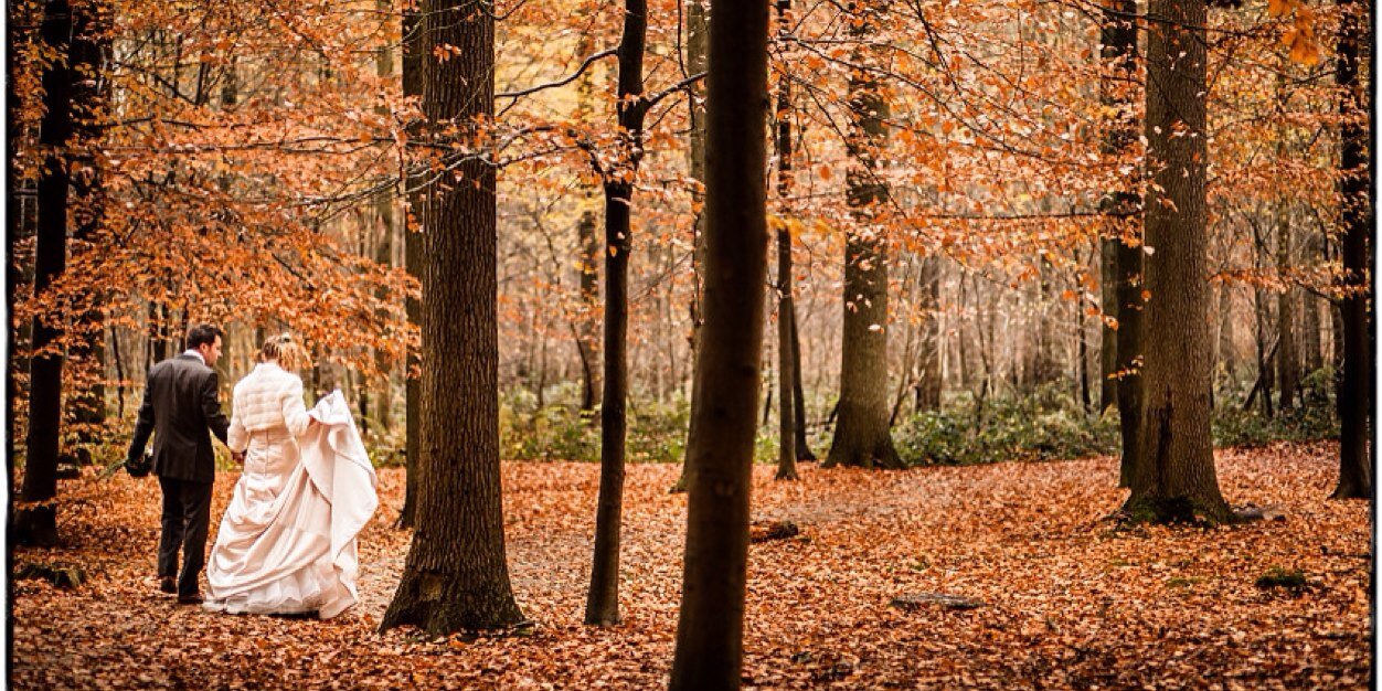 NoviosBruidsmode banner