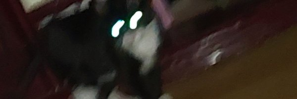 zautcc Profile Banner