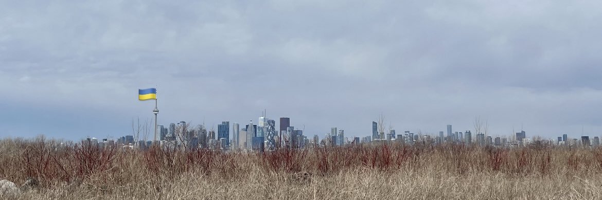 Kilu Mari - no drone shall pass 🇪🇪🇺🇦🇪🇺🇨🇦 banner