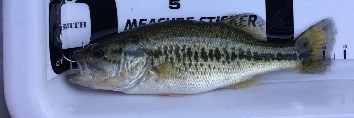 ごきお®︎🎣♨️⚾️ banner