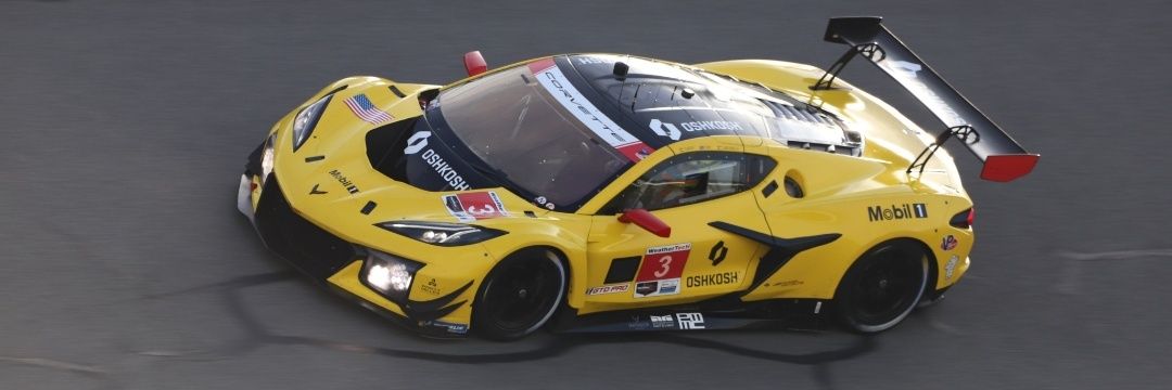 Alexander Sims banner