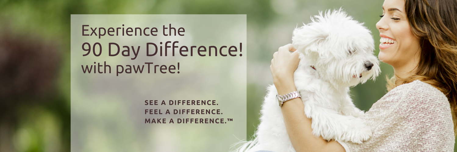 pawTree banner