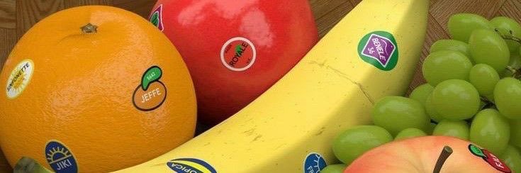 bo꩜'s banner