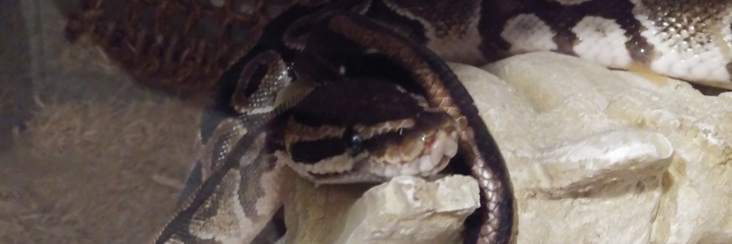 Heather_Beth_'s profile banner image