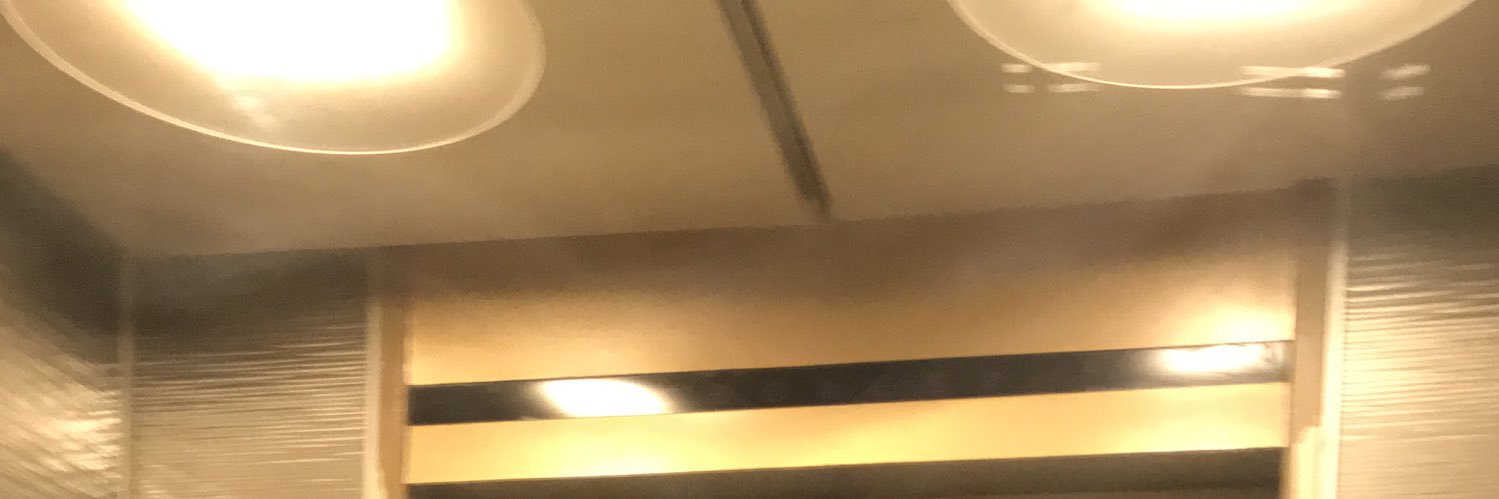 Momo🐰 banner