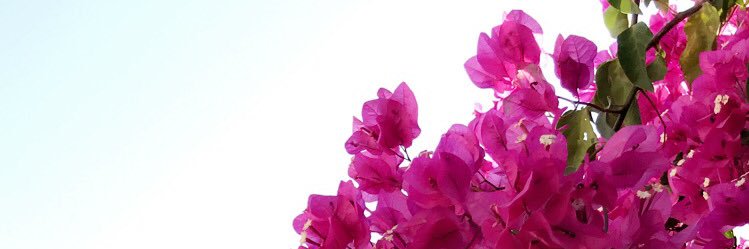 نُـــون banner