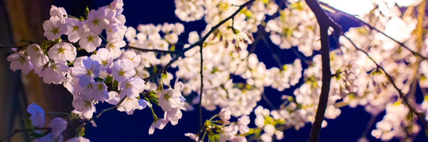 xnitroxxx's profile banner image