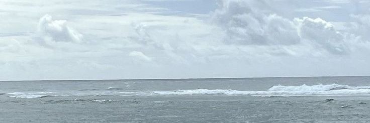 zarren banner