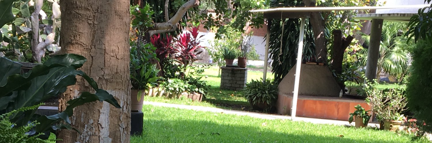 RodolfoBayardo9's profile banner image