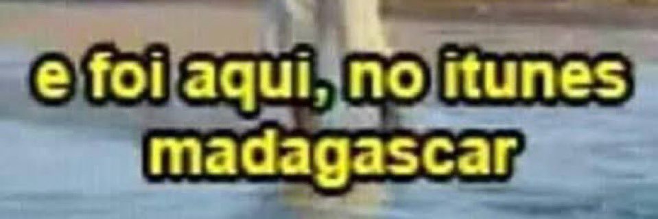 a filha única da maria josé banner