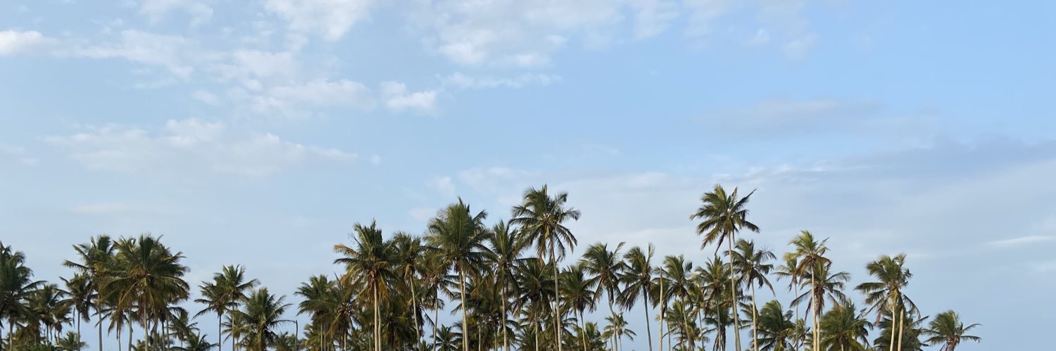 fonprates's profile banner image