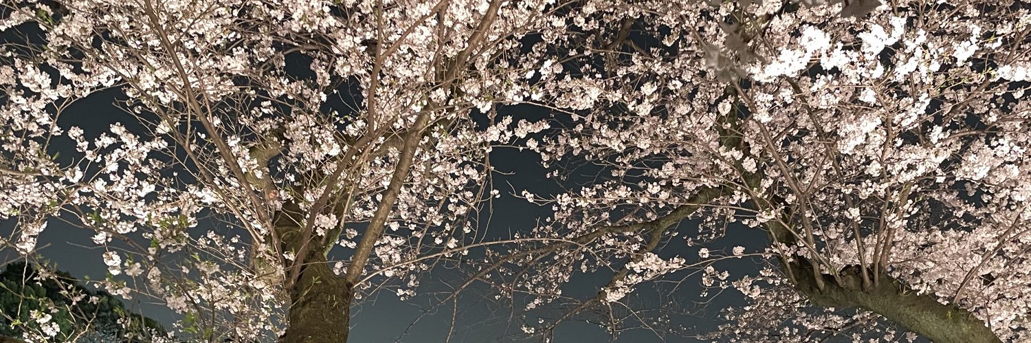 YamatoWisdom's profile banner image