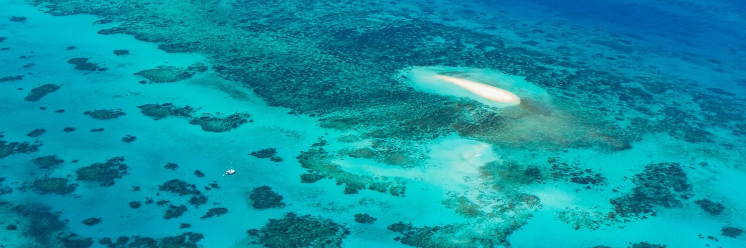 ケアンズ観光局【公式】🇦🇺 banner