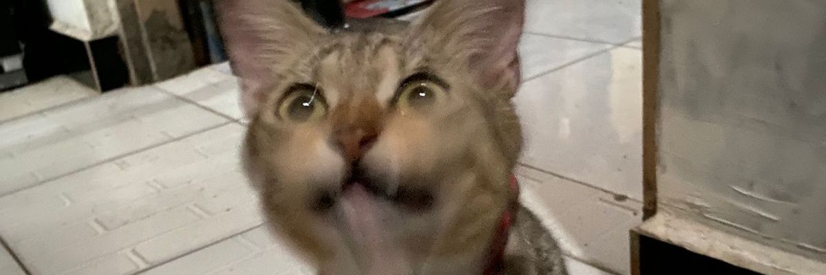 enbacc's profile banner image
