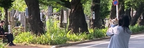 yuri_nosho Profile Banner