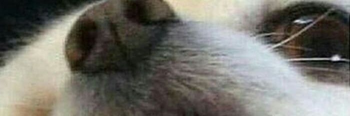 SuperJosh0's profile banner image