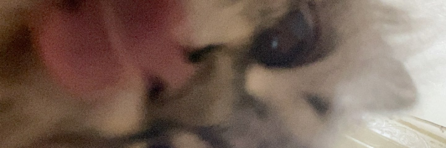 emeptyyyy's profile banner image