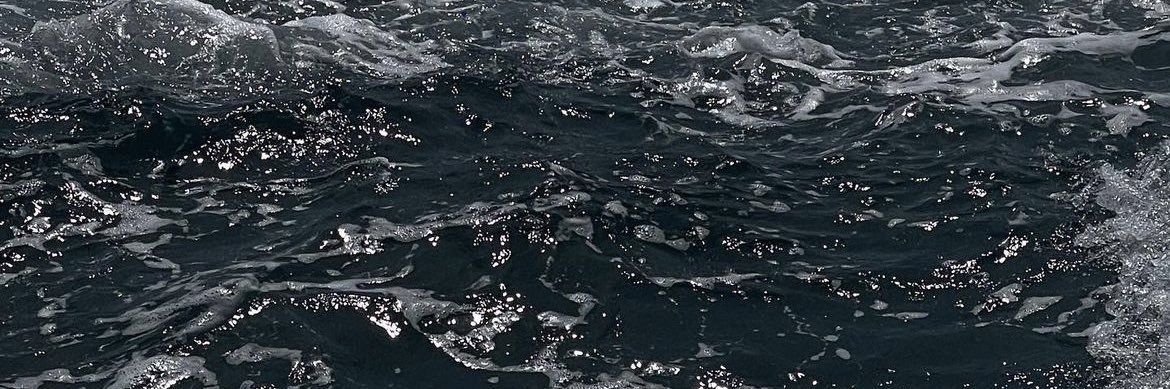 sambernese's profile banner image