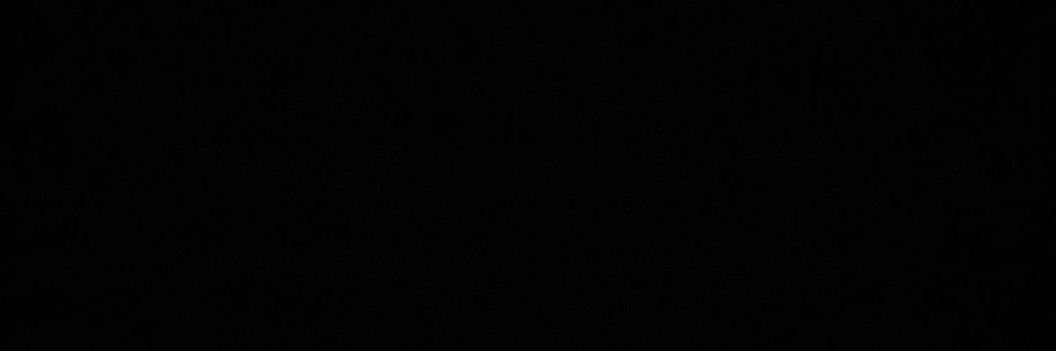 leslipantoja's profile banner image