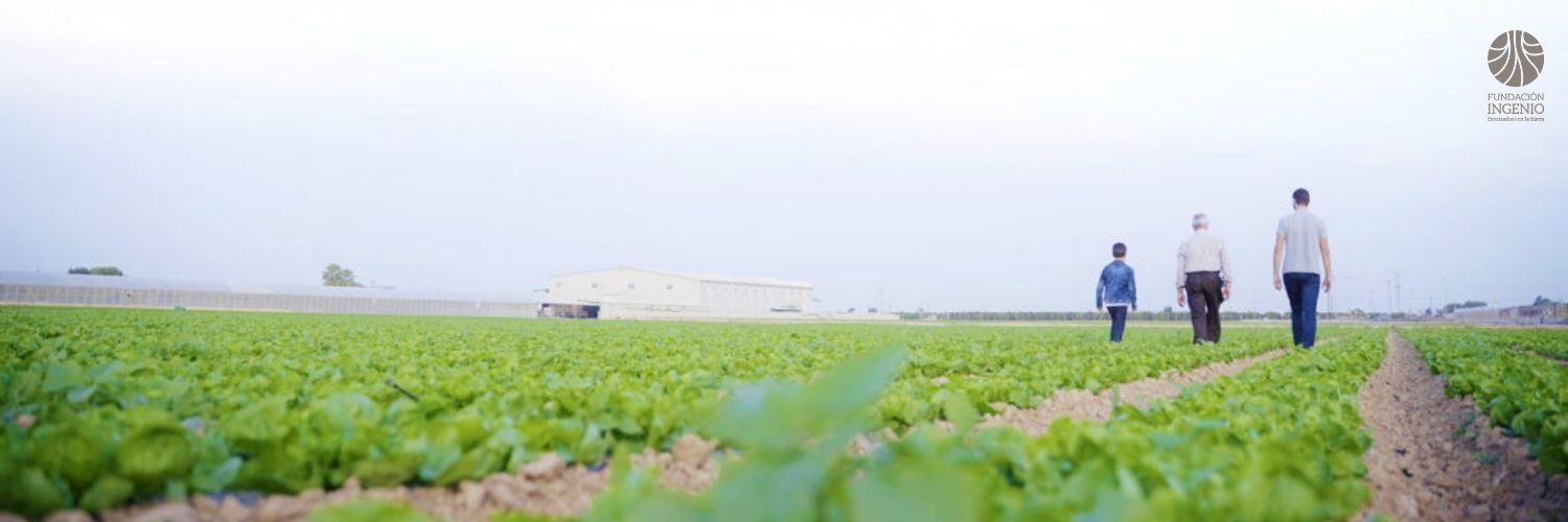 Fundación Ingenio banner