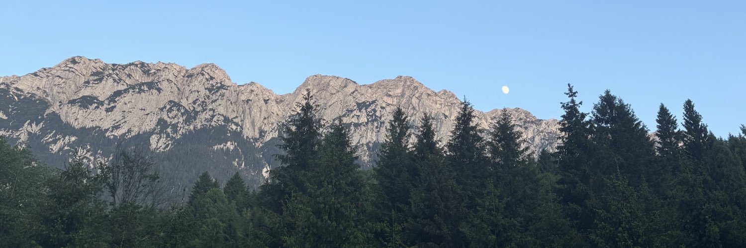 Artur Gurău banner