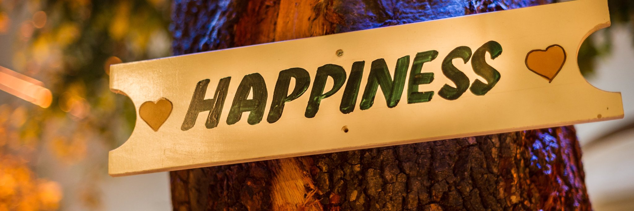 kevinvanhooft's profile banner image