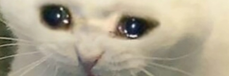 VartanianEmma's profile banner image