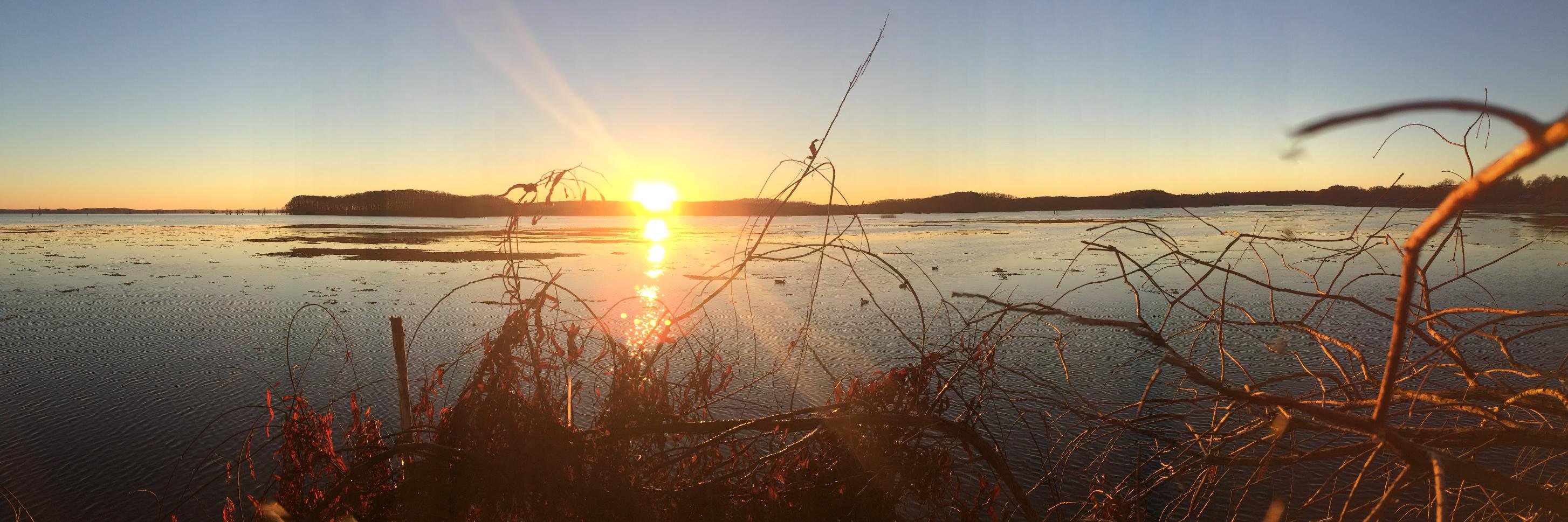 Derek Fitzhenry banner