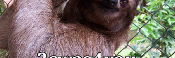 MofoSloths Profile Banner