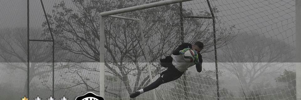 Gregor banner