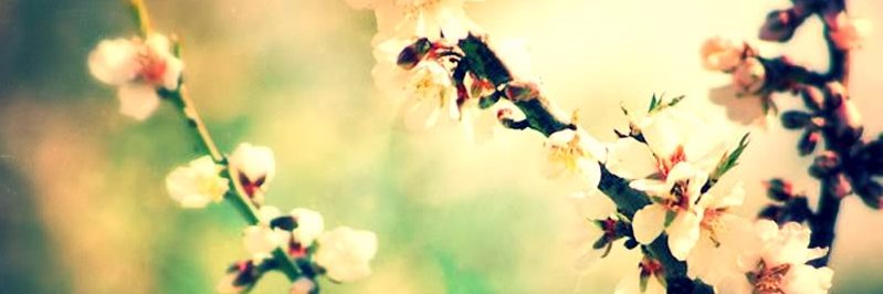 Els_D_M's profile banner image