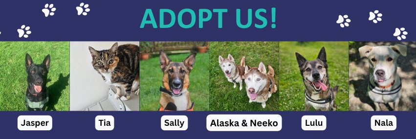 RSPCA Cornwall banner