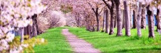 colordotschoco's profile banner image