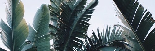 AlyzeeLM's profile banner image