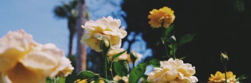 BStrit's profile banner image