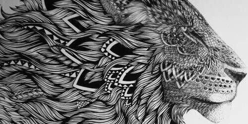 Don Gastón 🐦 banner
