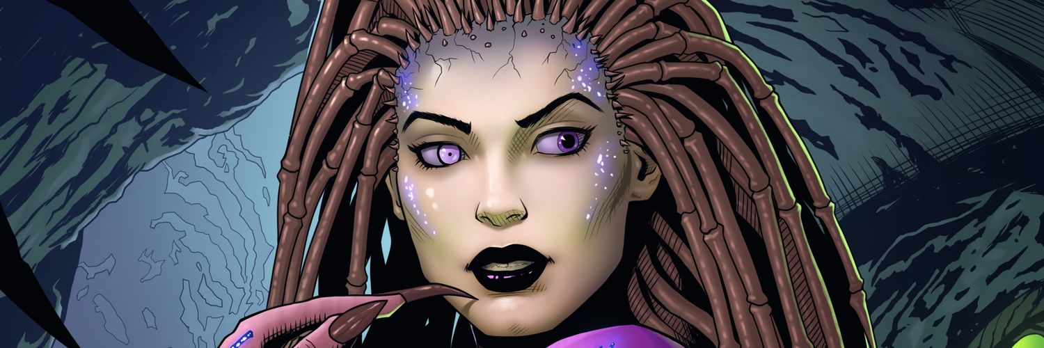 Volendor Arts banner