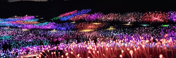 AnushaRagunatha Profile Banner