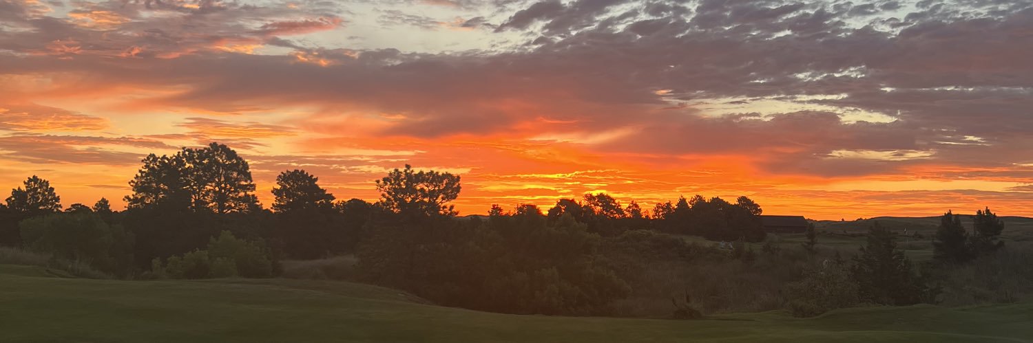 HarneyShannon's profile banner image