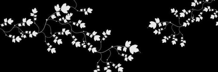 Mathias "kodalaski" banner