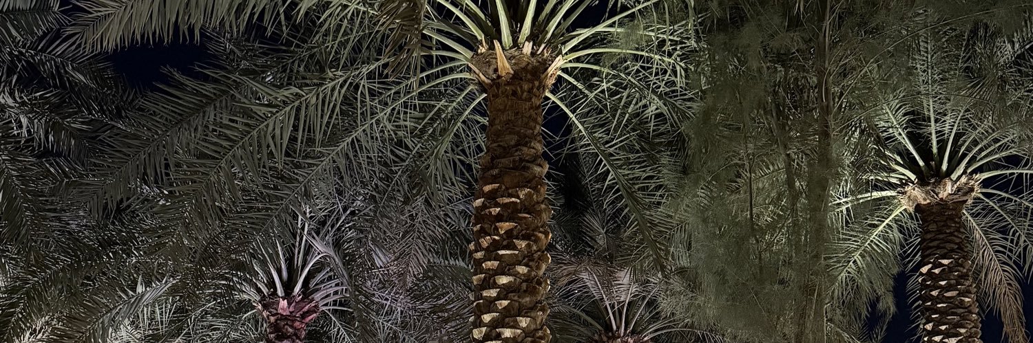 غلا ناصر banner