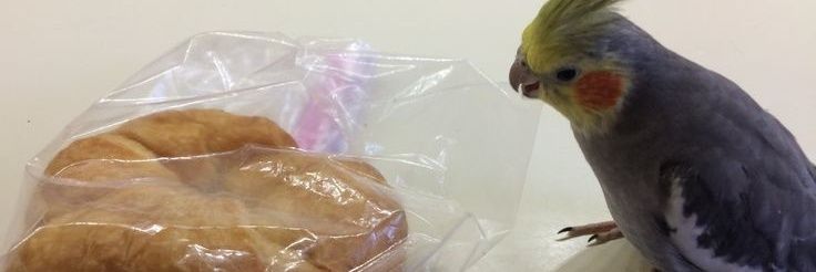 я плыву на корабле без названия banner