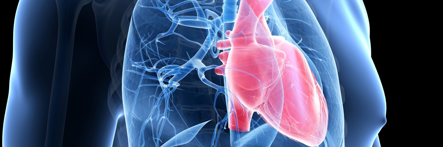 The MacLean Lab banner