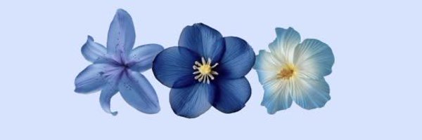 pjwshaver Profile Banner