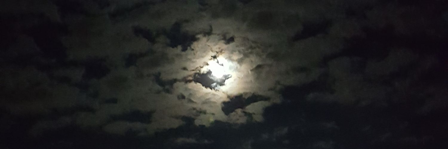 Seouless1's profile banner image