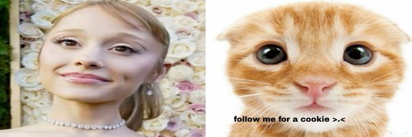 luvmoonv Profile Banner