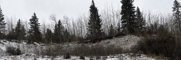 sherlock_no13 Profile Banner