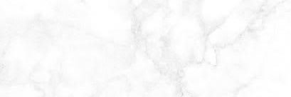 🐻 banner