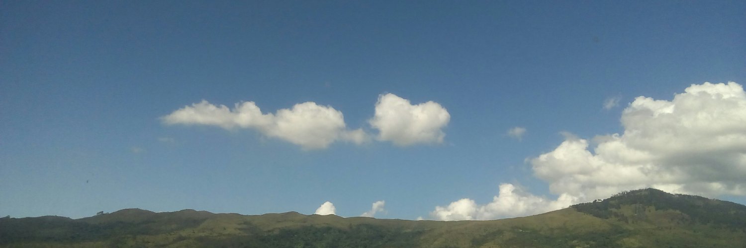 blancapaez58's profile banner image